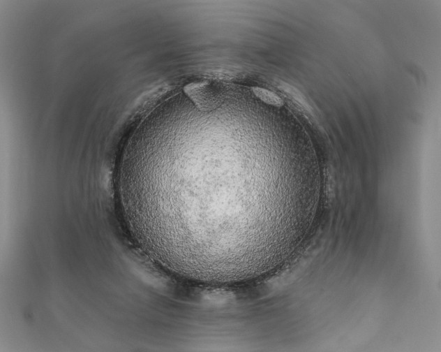 X0000111910258200908031144