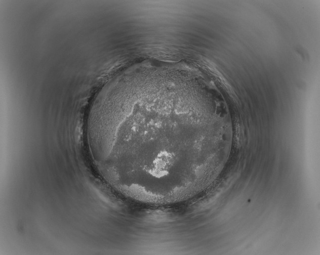 X0000111910259200908031144