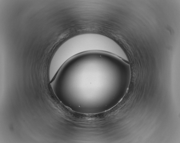 X0000111910260200908031144