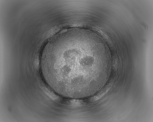 X0000111910261200908031144