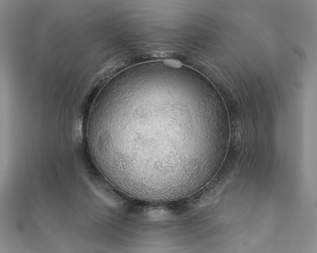 X0000111910262200908031144