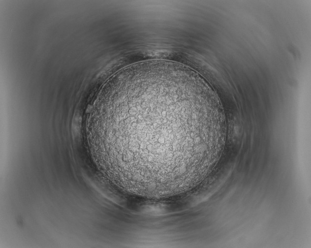 X0000111910263200908031144