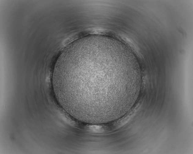 X0000111910265200908031144