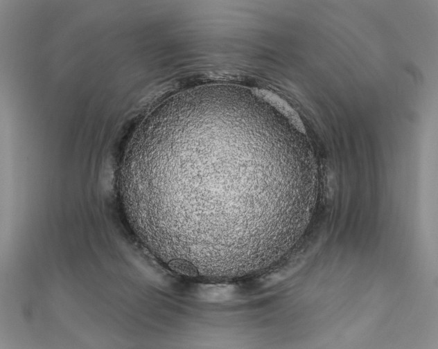 X0000111910266200908031144