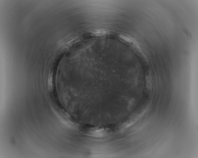 X0000111910267200908031144