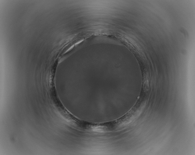 X0000111910268200908031144