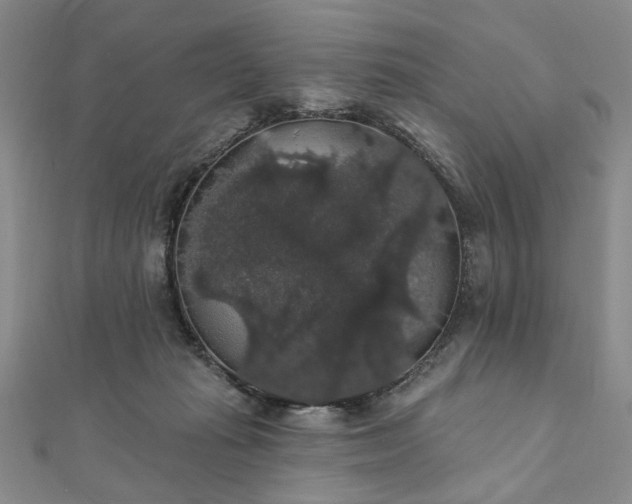 X0000111910269200908031144