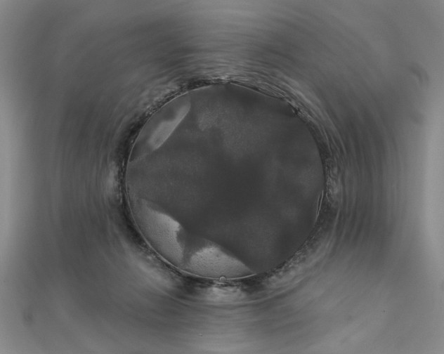 X0000111910270200908031144