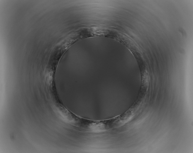 X0000111910271200908031144