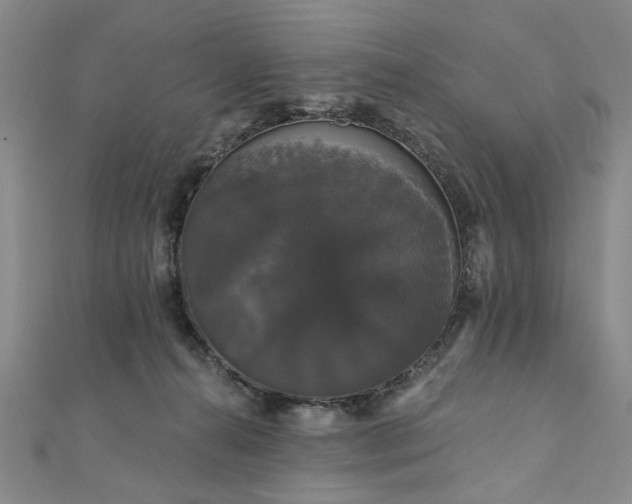 X0000111910272200908031144