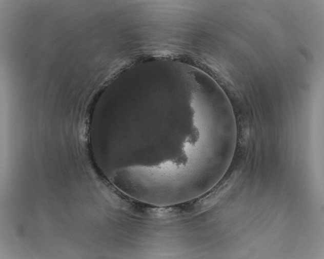 X0000111910273200908031144