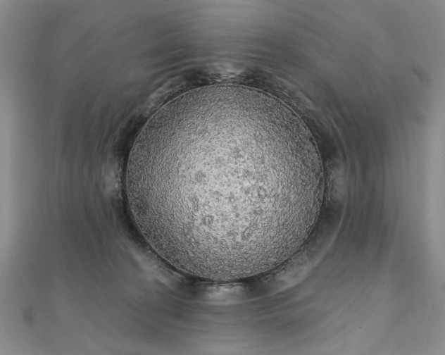 X0000111910274200908031144