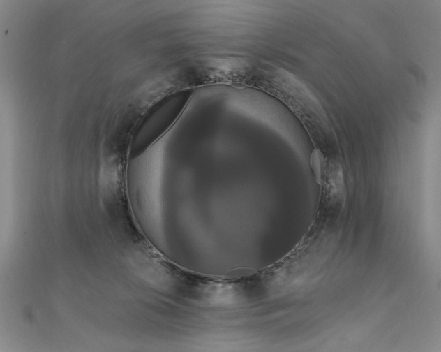 X0000111910276200908031144