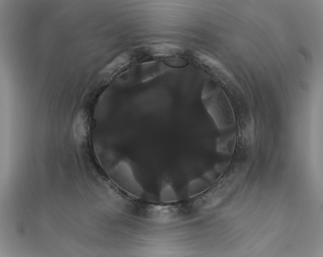 X0000111910277200908031144