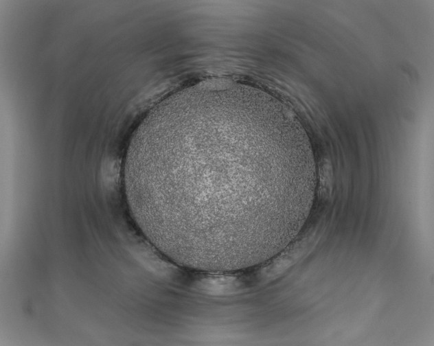 X0000111910278200908031144