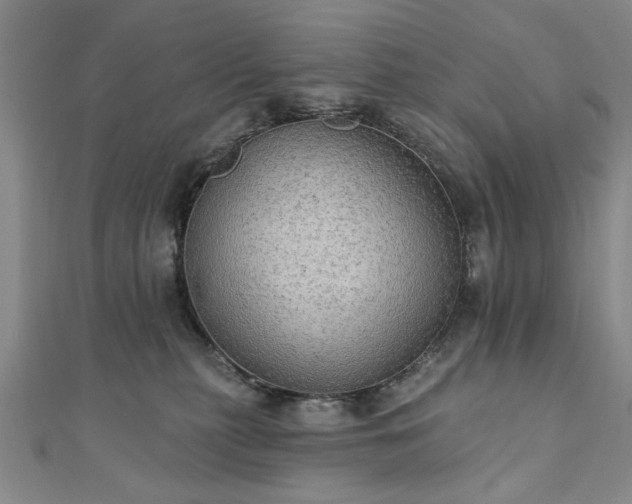 X0000111910279200908031144