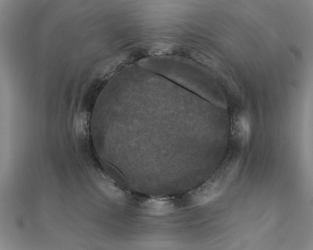 X0000111910280200908031144