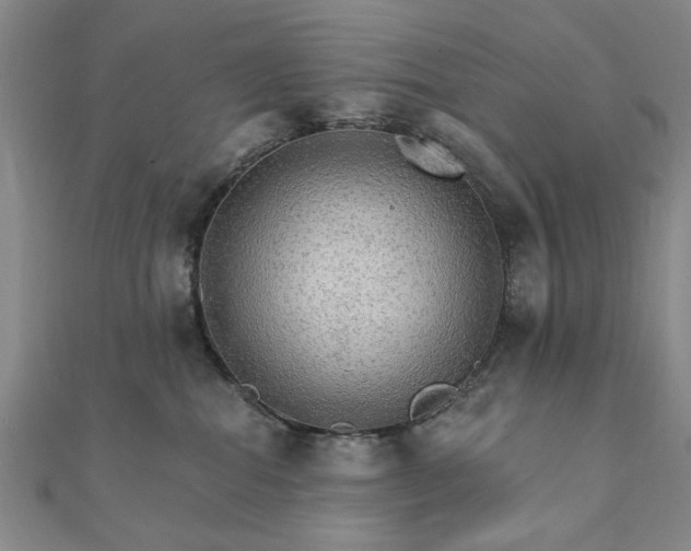 X0000111910282200908031144