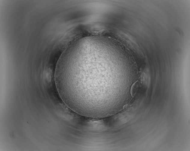 X0000111910283200908031144