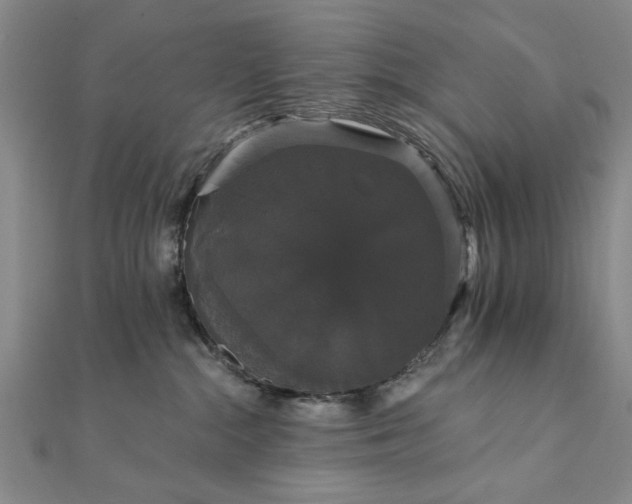 X0000111910284200908031144