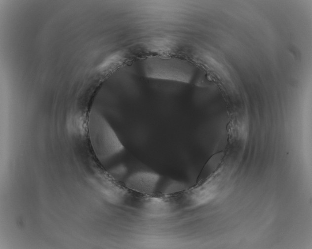 X0000111910285200908031144