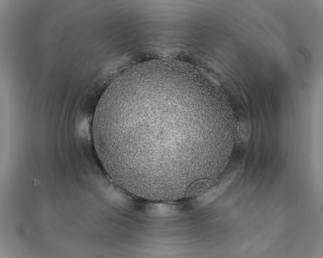 X0000111910286200908031144