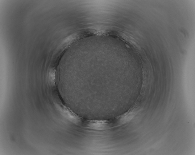 X0000111910288200908031144