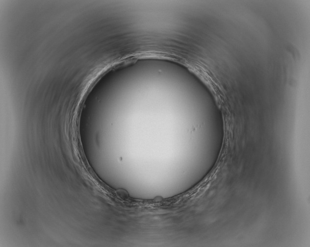 X0000111910289200908031144