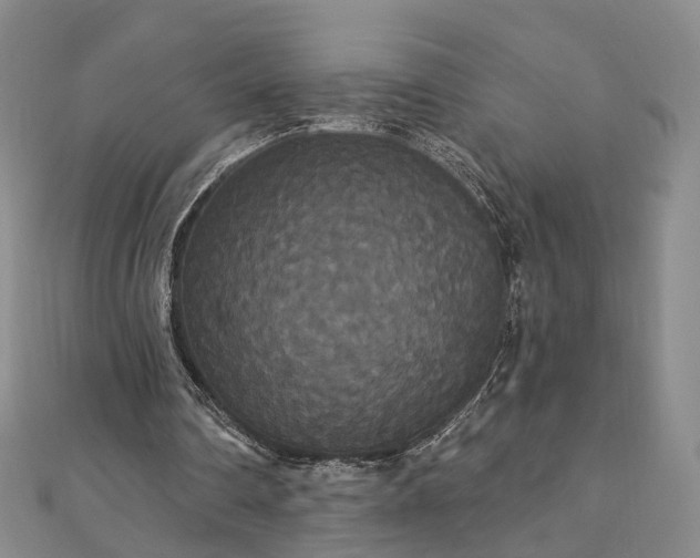 X0000111910290200908031144