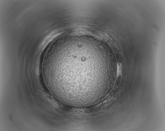 X0000111910291200908031144