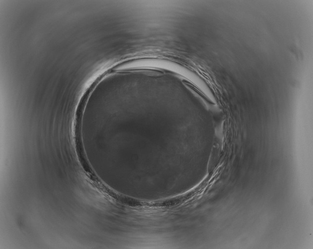 X0000111910292200908031143