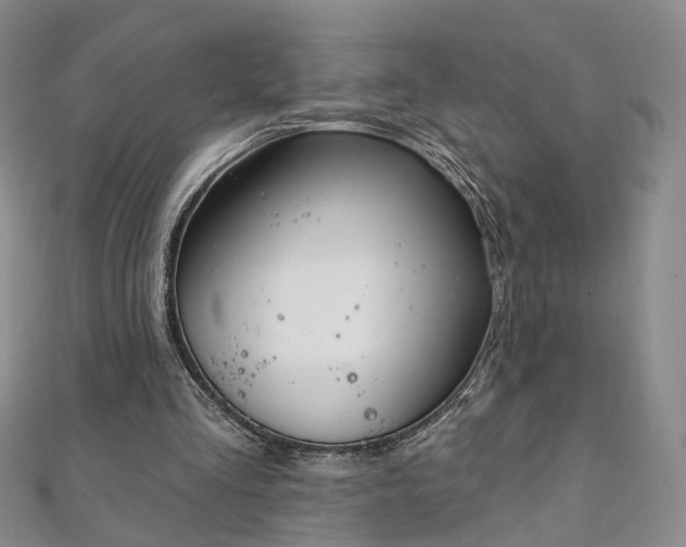 X0000111910293200908031143