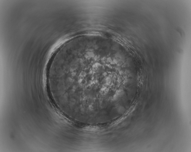 X0000111910294200908031143