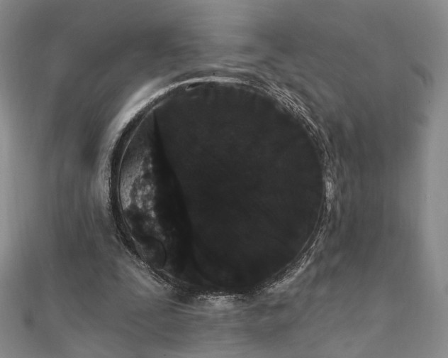 X0000111910295200908031143