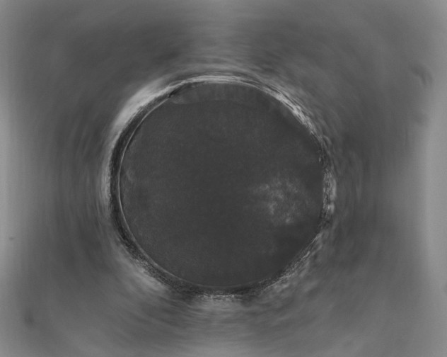 X0000111910296200908031143