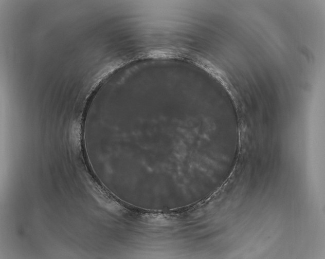 X0000111910297200908031143