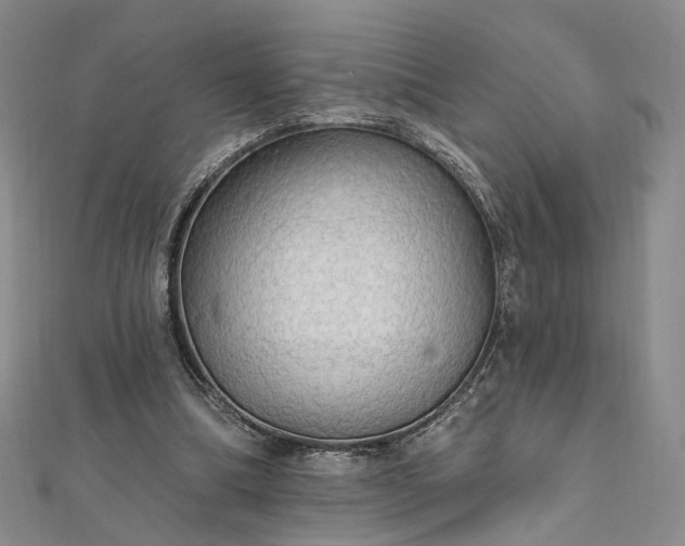 X0000111910298200908031143