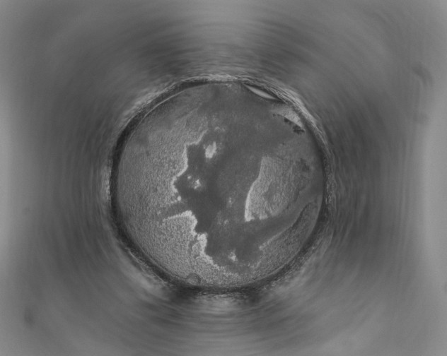 X0000111910299200908031143