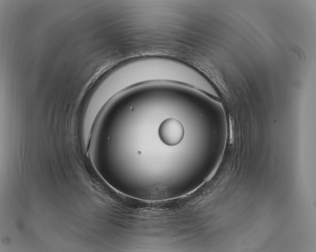 X0000111910300200908031143