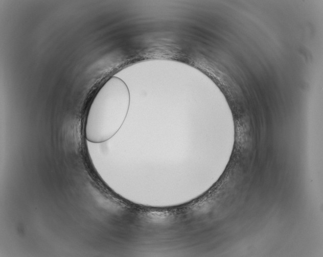 X0000111910302200908031143