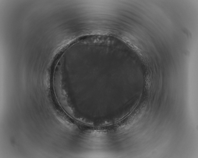 X0000111910303200908031143