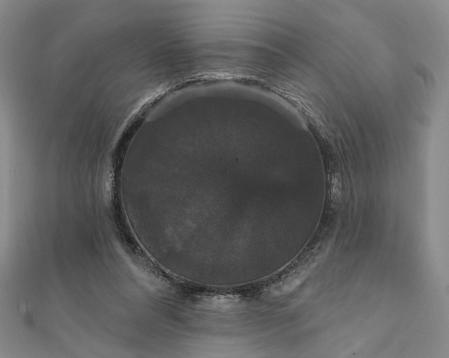 X0000111910304200908031143