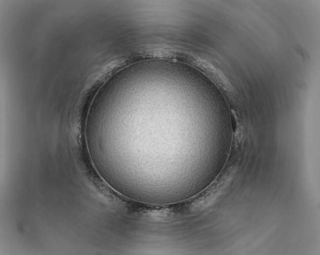 X0000111910306200908031143