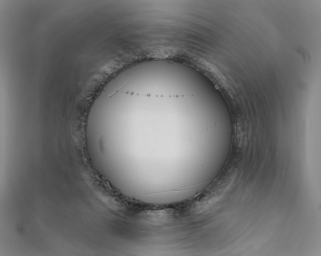 X0000111910307200908031143