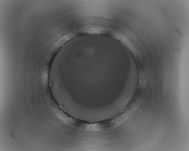 X0000111910309200908031143