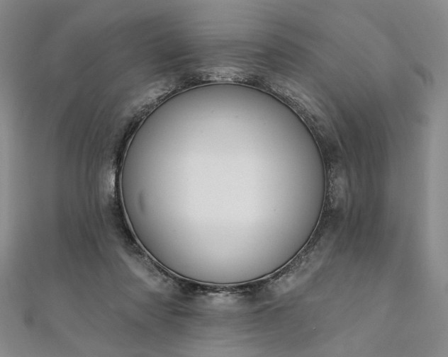 X0000111910310200908031143