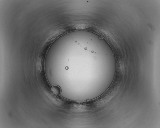 X0000111910311200908031143