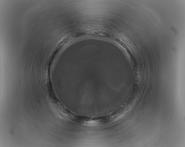 X0000111910312200908031143