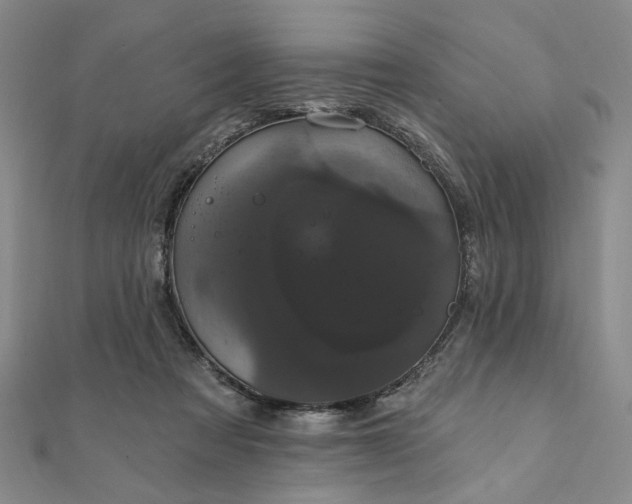 X0000111910313200908031143