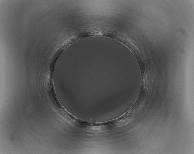 X0000111910314200908031143